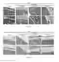 Fig. 02 - Method for remolding bone marrow microenvironment