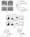 Fig. 03 - Method for remolding bone marrow microenvironment