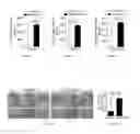 Fig. 04 - Method for remolding bone marrow microenvironment
