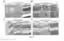 Fig. 06 - Method for remolding bone marrow microenvironment