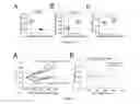 Fig. 08 - Method for remolding bone marrow microenvironment