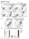 Fig. 04 - Methods and compositions for generating chondrocyte lineage cells and/or cartilage like tissue