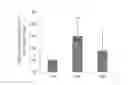 Fig. 01 - USES OF MENTHA ESSENTIAL OIL