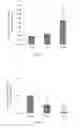 Fig. 04 - USES OF MENTHA ESSENTIAL OIL