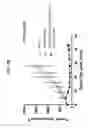 Fig. 09 - ANTI-CD71 ACTIVATABLE ANTIBODY DRUG CONJUGATES AND METHODS OF USE THEREOF