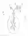 Fig. 07 - Methods and dressing systems for promoting healing of injured tissue