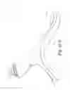 Fig. 43 - Delivery of respiratory therapy