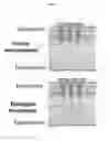 Fig. 02 - Targeted delivery of biologic therapeutic agents