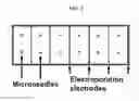 Fig. 04 - Targeted delivery of biologic therapeutic agents