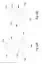 Fig. 27 - LIGHT THERAPY BANDAGE