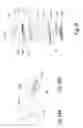 Fig. 28 - LIGHT THERAPY BANDAGE