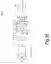 Fig. 30 - LIGHT THERAPY BANDAGE