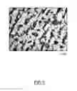 Fig. 06 - Manufacture method for partial structure refinement of a forged iron golf club head
