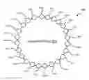 Fig. 01 - Formation of a janus microcapsule