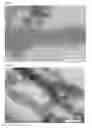 Fig. 02 - Adsorption material