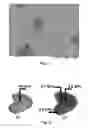 Fig. 05 - Process for producing a beta-alloy titanium niobium zirconium (TNZ) with a very low modulus of elasticity for biomedical applications and its embodiment by additive manufacturing