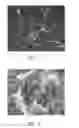Fig. 07 - Methods of controlling nanostructure formations and shapes