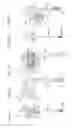 Fig. 02 - Cam-type hand mechanism