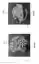 Fig. 26 - Methods and apparatuses for casting polymer products