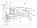 Fig. 01 - Suspension system for vehicle