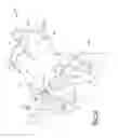 Fig. 09 - Airbag assembly configured to be disposed on multiple sides of an occupant of a vehicle and configured to allow the head of the occupant to rotate forward with the torso of the occupant
