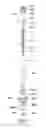 Fig. 07 - Systems and methods for supporting telescoping elements