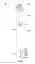 Fig. 35 - Systems and methods for supporting telescoping elements
