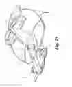 Fig. 64 - Fluidic propulsive system and thrust and lift generator for aerial vehicles