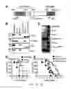 Fig. 02 - Compositions and methods related to antibodies that neutralize coagulase activity during disease