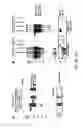 Fig. 03 - Compositions and methods related to antibodies that neutralize coagulase activity during disease