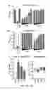 Fig. 06 - Compositions and methods related to antibodies that neutralize coagulase activity during disease