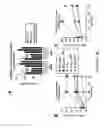 Fig. 07 - Compositions and methods related to antibodies that neutralize coagulase activity during disease