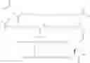 Fig. 167 - PROTEASE STABILIZED, ACYLATED INSULIN ANALOGUES