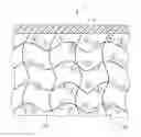 Fig. 01 - SOFT MATERIAL, METHOD FOR ELECTROSTATICALLY INDUCING DEFORMATION THEREIN, AND SOFT ROBOT