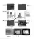 Fig. 02 - Method of differentiating pluripotent stem cells into mesenchymal stem cells under 3D spheroidal culture conditions