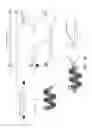 Fig. 13 - TAL-effector assembly platform, customized services, kits and assays