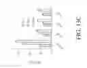 Fig. 35 - TAL-effector assembly platform, customized services, kits and assays
