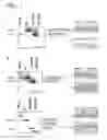 Fig. 02 - Modulation of exon recognition in pre-mRNA by interfering with the secondary RNA structure