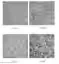 Fig. 06 - Copper manganese sputtering target