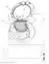 Fig. 04 - Drying rack for a laundry treating appliance