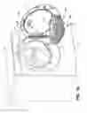 Fig. 09 - Drying rack for a laundry treating appliance