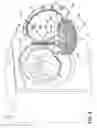 Fig. 15 - Drying rack for a laundry treating appliance