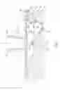 Fig. 02 - DIESEL ENGINE HAVING REENTRANT COMBUSTION CHAMBER