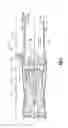 Fig. 02 - ELECTRIC CRUISE PUMP SYSTEM