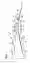 Fig. 04 - Rotor blade with a serrated trailing edge