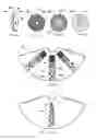 Fig. 04 - Disc brake rotors with lattice structures