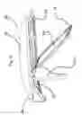 Fig. 07 - LUMINAIRE