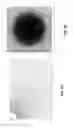 Fig. 08 - Method and apparatus for horticultural lighting and associated optic systems