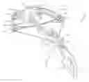 Fig. 01 - Narrow crossbow with large power stroke