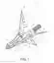 Fig. 02 - Cut-on-contact broadhead